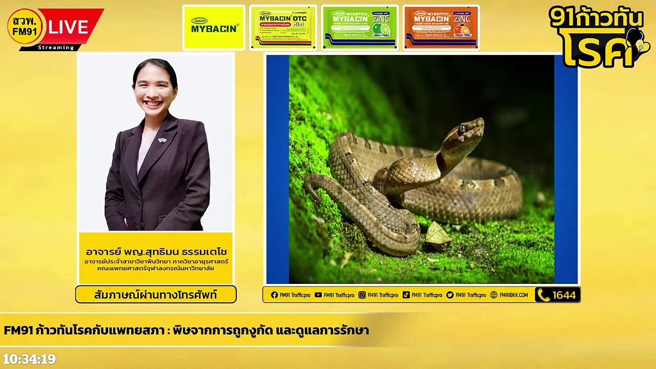 พิษจากการถูกงูกัด และดูแลการรักษา : FM91 ก้าวทันโรคกับแพทยสภา : 2 สิงหาคม 2565