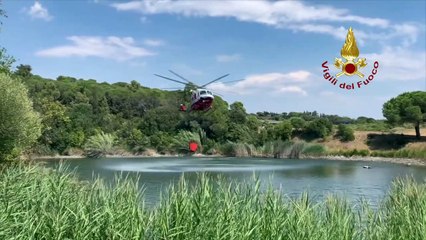 L'incendio di Rosignano Marittimo (Livorno): la lotta contro il fuoco