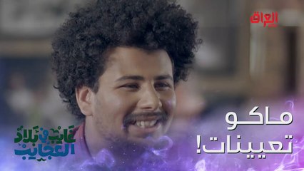 أربع سنوات يدور شغل.. لو دارس طيران جان خلص