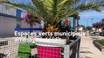 Le Journal du 2/08/2022 -  ENVIRONNEMENT / La sécheresse contraint aussi les collectivités