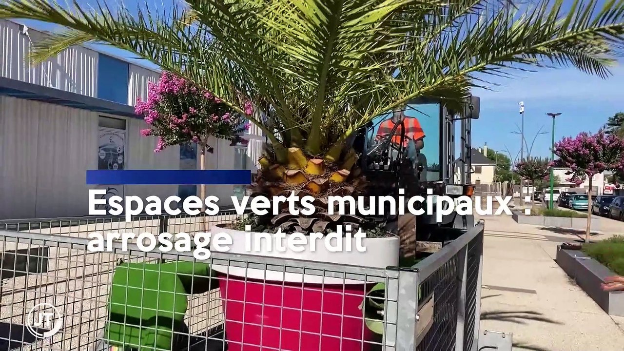 Le Journal du 2/08/2022 -  ENVIRONNEMENT / La sécheresse contraint aussi les collectivités