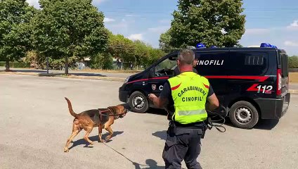 Sylvie Micalizzi scomparsa, cani in azione per cercare la ragazza