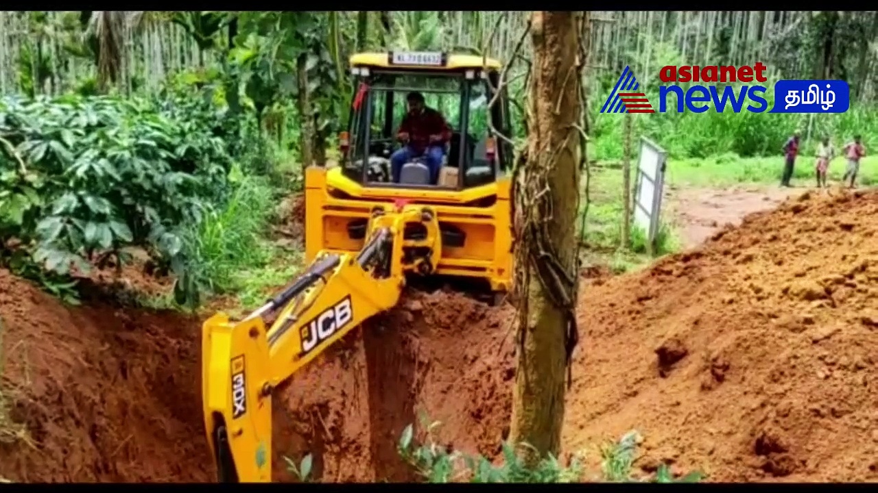 Watch : பன்றிகளுக்கு ஆப்பிரிக்கன் நோய்! - கருனைக்கொலை செய்யப்பட்ட 213 பன்றிகள் குழிதோன்டி புதைப்பு!