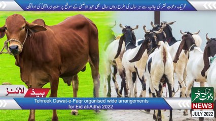 News Alerts | Tehreek Dawat-e-Faqr News July 2022 | News Updates | Urdu / English News