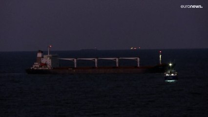 Llega a Estambul el primer buque con cereal que sale de Ucrania desde el inicio de la invasión