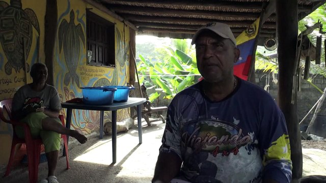 Niños y ambientalistas liberan crías de tortuga en Venezuela para crear conciencia