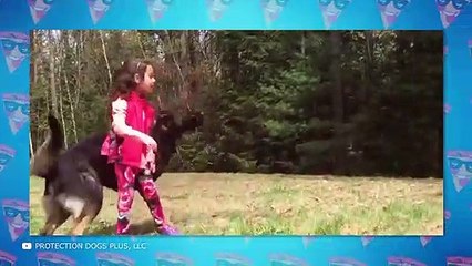 Animal Heroes Who Saved Their Humans