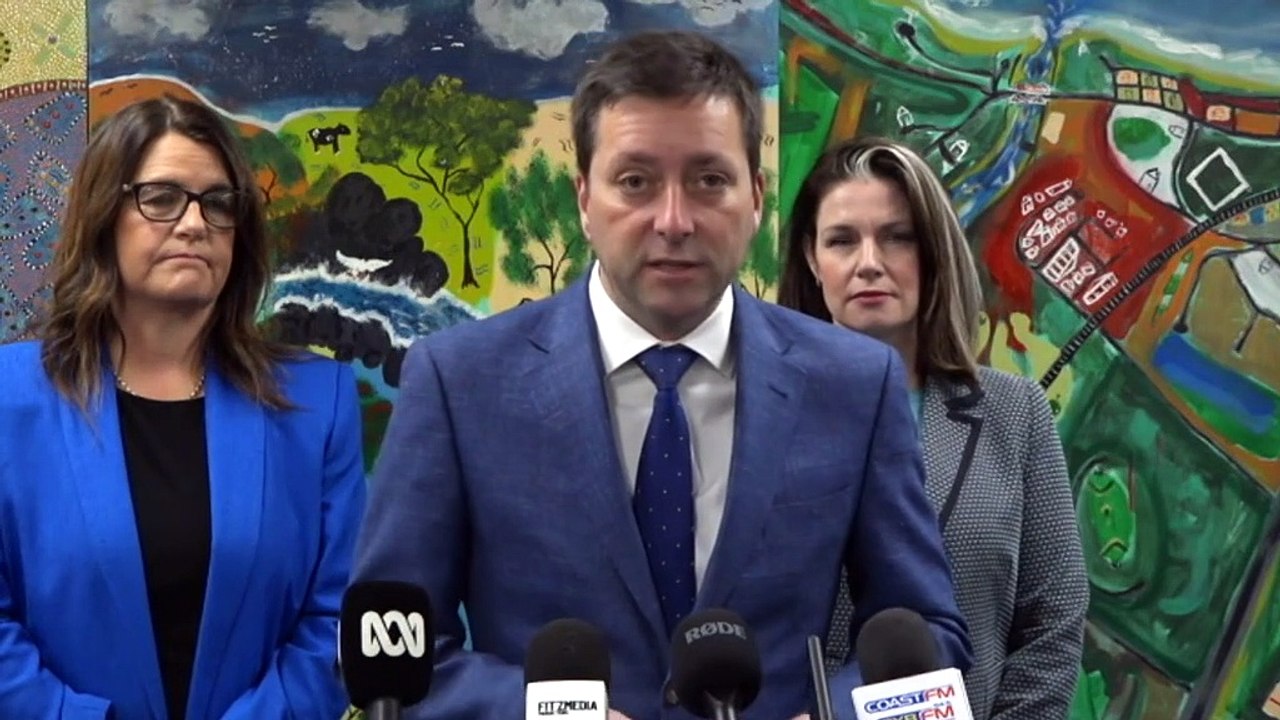 Liberal party staffer resigned after emails leaked reveal requests for six-digit sum be paid to his personal account