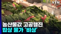폭염·장마에 농산물값 고공행진...밥상 물가 '비상' / YTN
