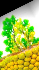 How to make flower pot