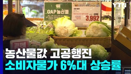물가 비상인데 채솟값도 고공행진..."장 보기 무서워" / YTN