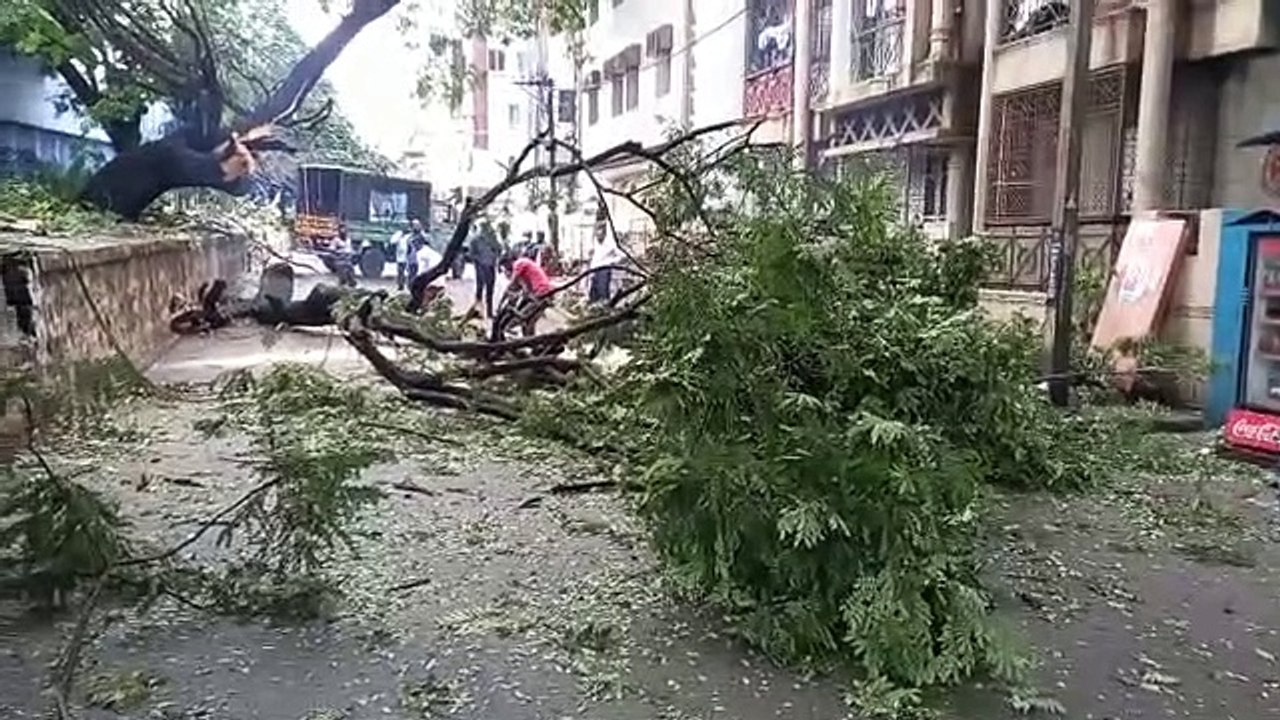 बारिश के दौरान सडक़ पर पेड़ गिरा, यातायात बाधित