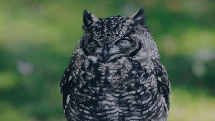 上手く笑えない笑顔恐怖症にならない為に？面白い雑学