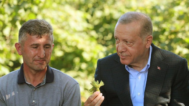 SÖZCÜ fındık üreticisini dinledi; Bu fiyat neredeyse ekmek parasını karşılamıyor