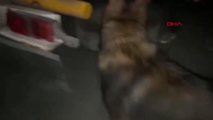 Son dakika haberleri... GAZİANTEP'TE KAÇAKÇILIK OPERASYONU: 2 GÖZALTI