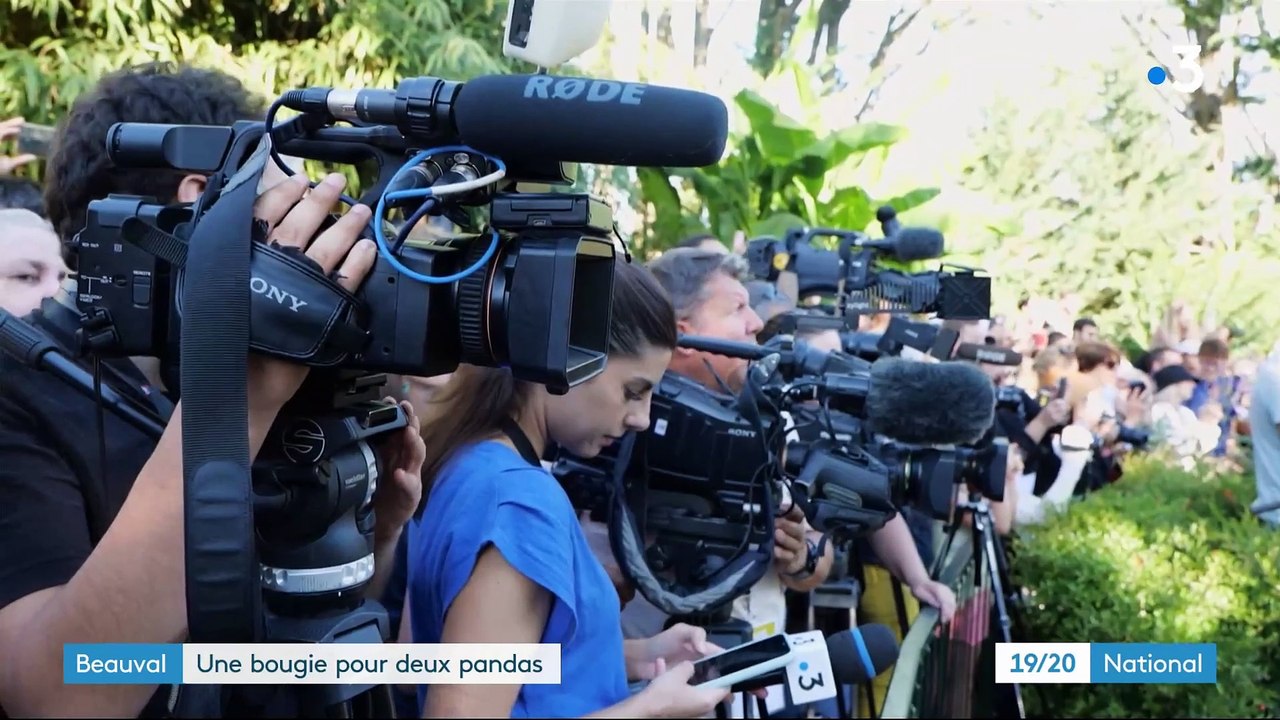 Huanlili et Yuandudu, les jumelles pandas du Zo...