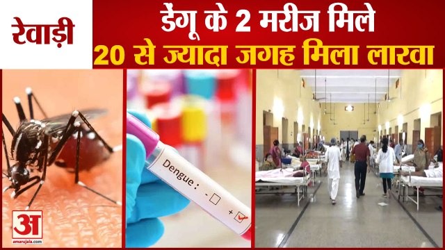 2 Patients Of Dengue And Malaria Found In Rewari|रेवाड़ी में डेंगू और मलेरिया के 2 मरीज मिले|Haryana