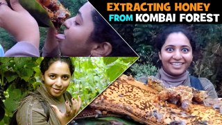 Extracting Honey   From Kombai Forest _ Honey Harvesting _ Saru not Charu