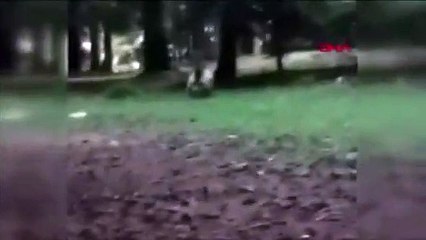 Ormanda karşılaştığı ayıyla selfie çekti: 'Gel oğlum gel'