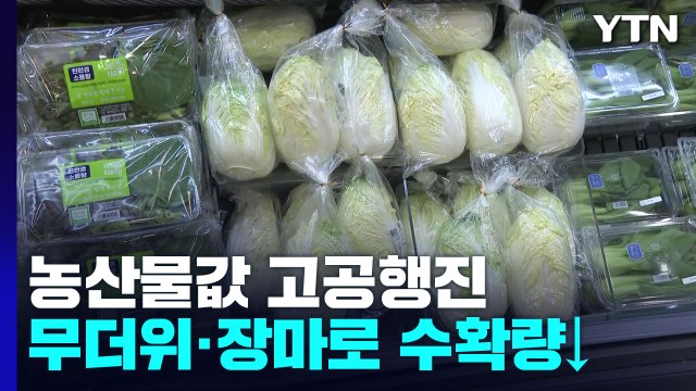 채솟값 급등에 '밥상 물가' 비상...배추, 오이 70% ↑ / YTN