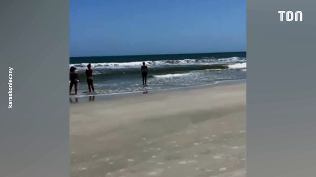 Des baigneurs nagent alors que des requins rôdent... Juste à côté de leurs chevilles