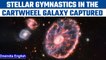 NASA: James Webb Space telescope captures the image of rare Cartwheel galaxy | Oneindia news *Space