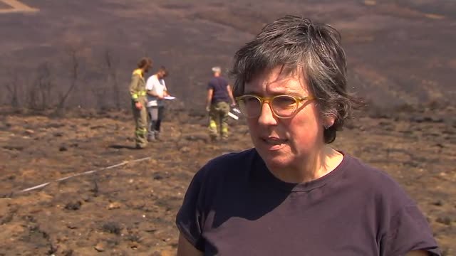 Después de un incendio las patrullas forestales vigilan que la ceniza no llegue a los ríos