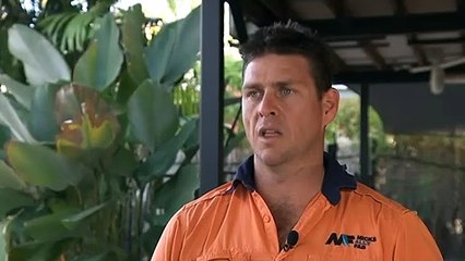 A pod of six humpback whales put on a show near Darwin