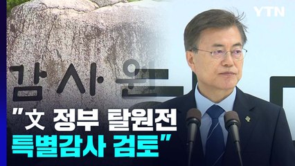 감사원 "文정부 탈원전 특별감사 검토...8월 말 확정" / YTN