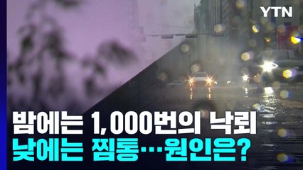 밤에는 1,000번의 낙뢰, 낮에는 찜통...밤낮 다른 날씨 / YTN