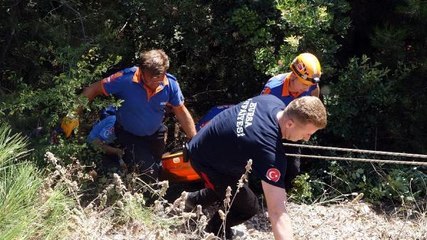 ORMANDA YÜRÜYÜŞE ÇIKTI, YAMAÇTAN YUVARLANDI