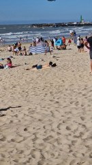 Important déploiement des services de secours à Ostende pour retrouver un corps