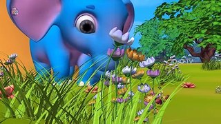 A Fat Elephant Story | Hindi Moral Stories for Kids | JOJO TV Kids Hindi Fairy Tales