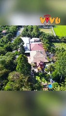 Ngôi chùa có hồ sen mọc lên từ hố bom lá sen khổng lồ có thể đỡ được cả người