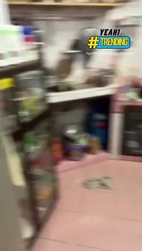 Bày trò trêu boss và cái kết không biết ai mới là người bị trêu