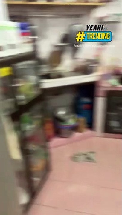 Bày trò trêu boss và cái kết không biết ai mới là người bị trêu