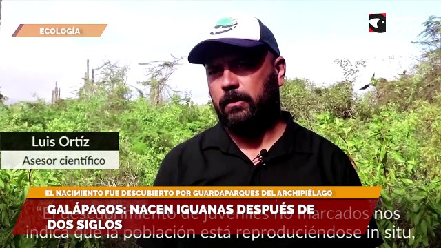 Galápagos nacen iguanas después de dos siglos