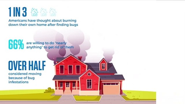 One in three say they'd burn down their home if it was infested with bugs