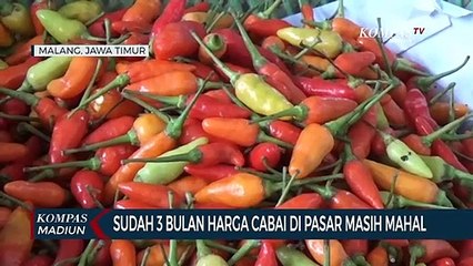 3 Bulan Harga Cabai Masih Mahal