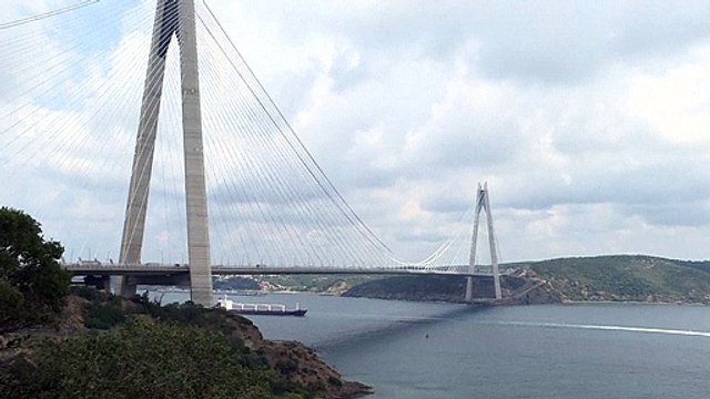 Primeira carga de grãos ucranianos liberada em meses é inspecionada e liberada