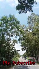 ইসলামপুর থেকে দেওয়ানগঞ্জ মোটরসাইক ভ্রমণের  সুন্দর দৃশ্য