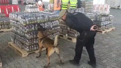 Guayaquil, un trampolín para la "exportación" de cocaína desde Ecuador