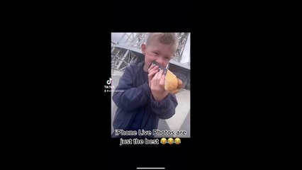 Hot dog snatched by a seagull in Blackpool