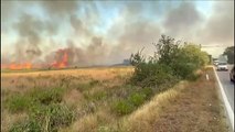 Incendio in Fipili: le fiamme divorano le sterpaglie, fumo ovunque
