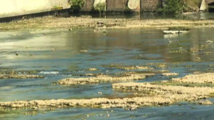 Siccità in Francia: Garonna ai livelli minimi, si formano isole