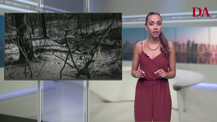 Flash Informativo del 3 de agosto de 2022