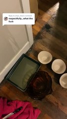 Water Bubble in the Wall