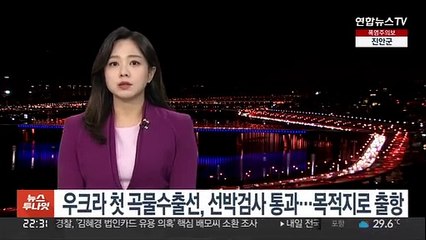 우크라 첫 곡물수출선, 선박검사 통과…최종 목적지로 출항