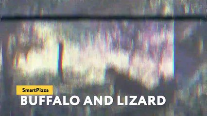 11 Times Lion Messed With The Wrong Opponent