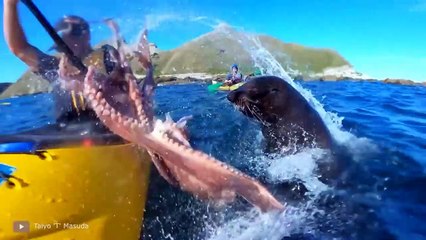 100 Scariest Animal Encounters of All Time 2022